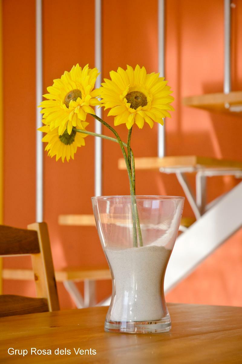 Bon Sol Apartamentos L'Estartit Zewnętrze zdjęcie